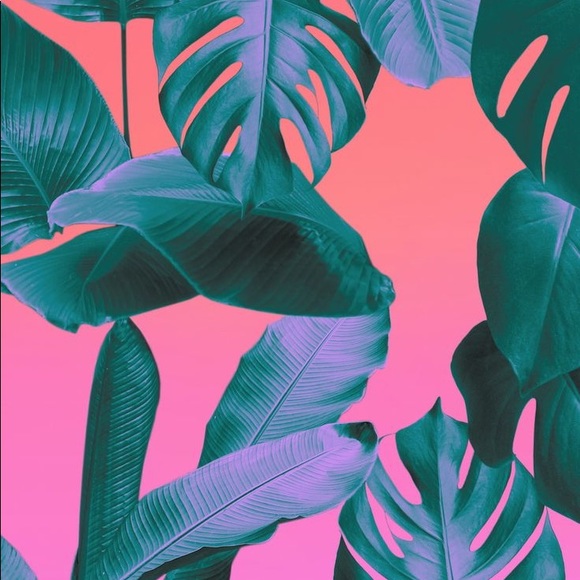 Meet your Posher,  Frances! - Picture 1 of 1